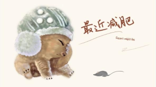 2024年二级建造师-市政实务-环*球*网校-考点精讲班-李*莹（新教材）