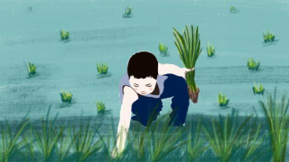 2024年二级建造师-机电实务-大*力*教育-深度精讲-王*克【重点推荐】