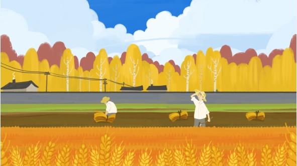 2024一级造价师-技术计量【土建】-环*球*网校-大班课-武*立*叶