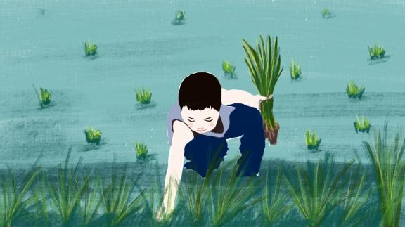 2024年二级建造师-机电实务-大*力*教育-深度精讲-王*克【重点推荐】